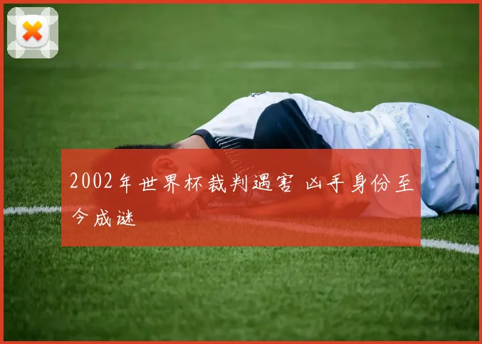 2002年世界杯裁判遇害 凶手身份至今成谜