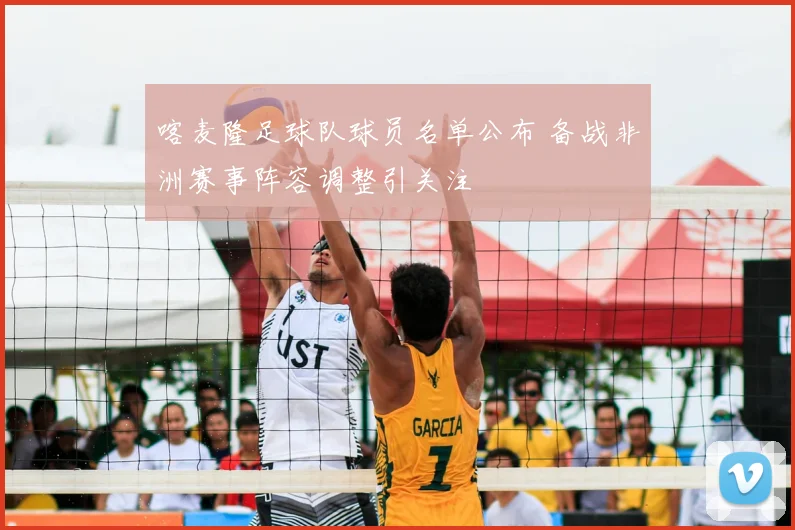 喀麦隆足球队球员名单公布 备战非洲赛事阵容调整引关注
