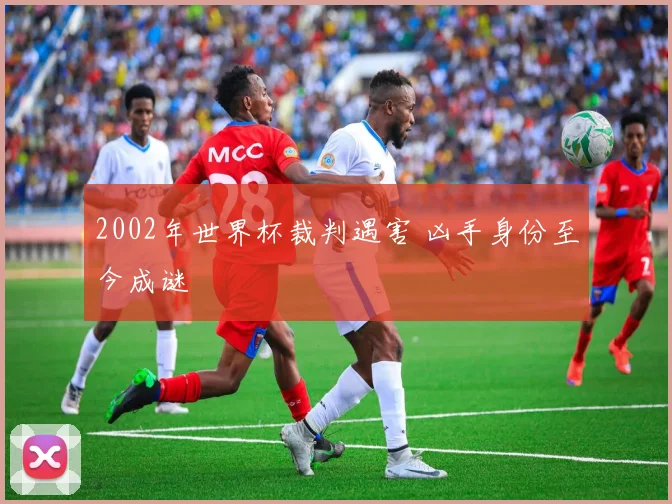 2002年世界杯裁判遇害 凶手身份至今成谜