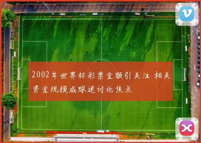 2002年世界杯彩票金额引关注 相关资金规模成球迷讨论焦点