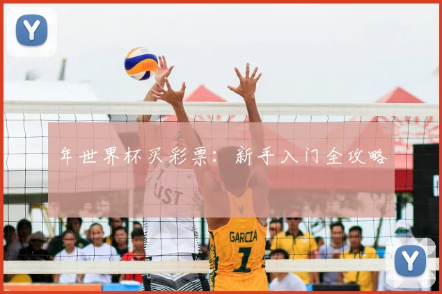年世界杯买彩票：新手入门全攻略