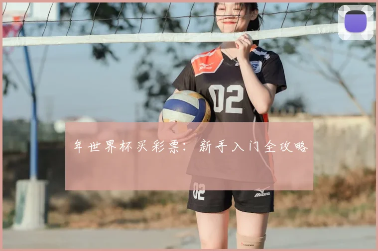 年世界杯买彩票：新手入门全攻略