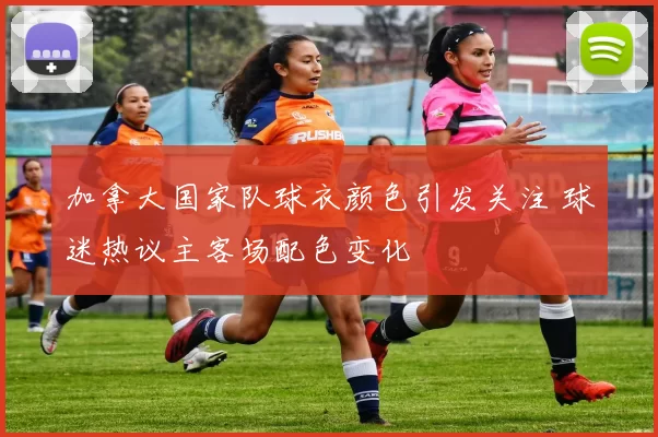 加拿大国家队球衣颜色引发关注 球迷热议主客场配色变化