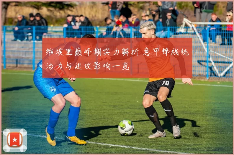 维埃里巅峰期实力解析 意甲锋线统治力与进攻影响一览
