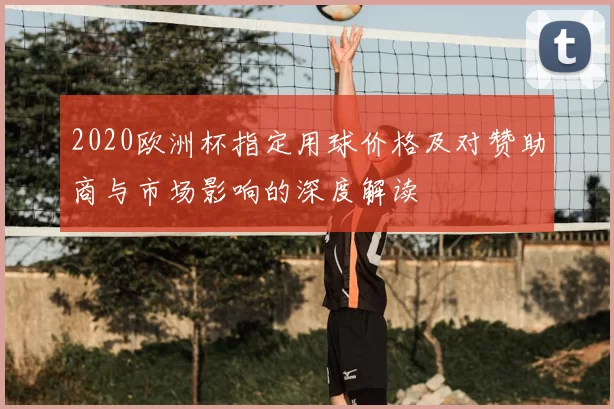 2020欧洲杯指定用球价格及对赞助商与市场影响的深度解读
